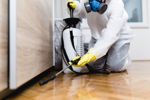 Wildlife Control Services in Santa Rosa, CA