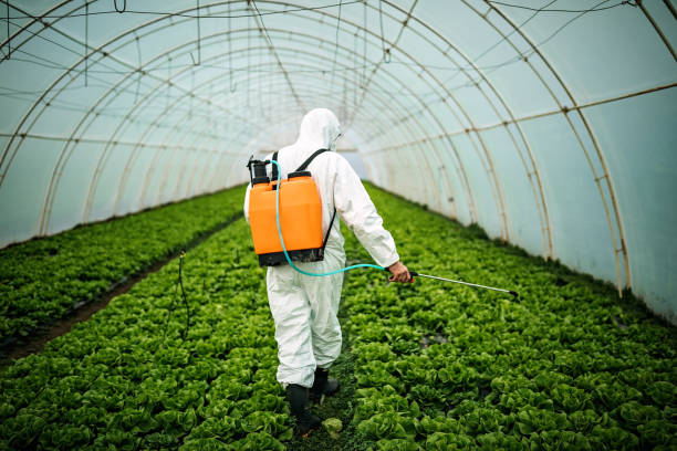 Best Affordable Pest Control Services  in Santa Rosa, CA