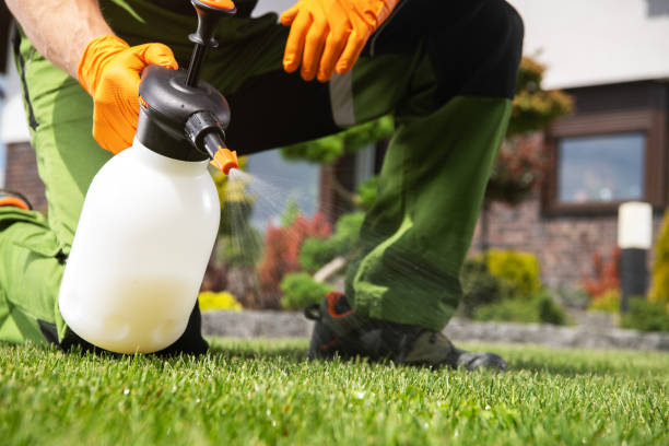 Best Ant Control Services  in Santa Rosa, CA