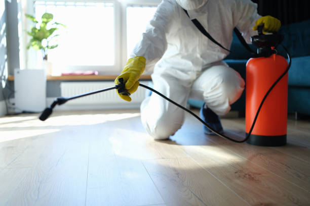 Professional Pest Control in Santa Rosa, CA
