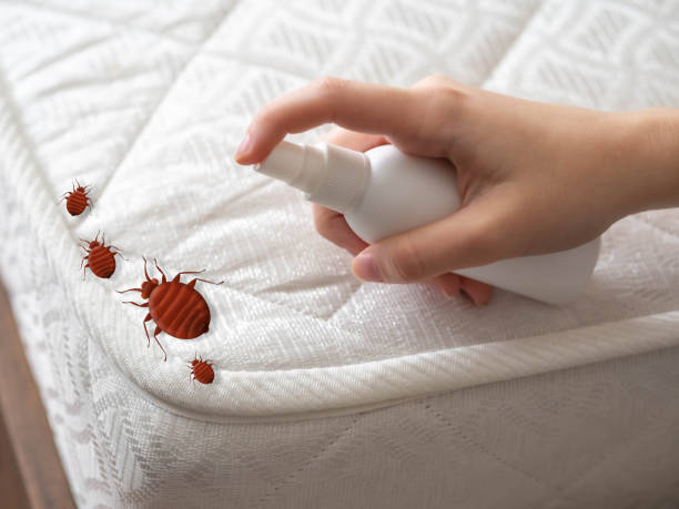 Best Pest Control Near Me  in Santa Rosa, CA